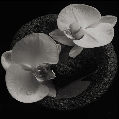 Mike Patton: Corpse Flower ( Vinyl )