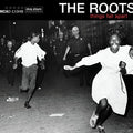 The Roots: Things Fall Apart ( Vinyl )