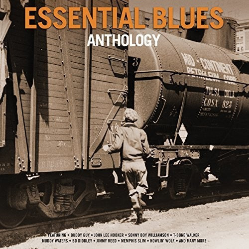 Various Artists: Essential Blues Anthology / Various ( Vinyl )