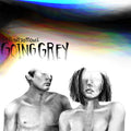 The Front Bottoms: Going Grey ( Vinyl )