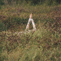 Verite: New Skin ( Vinyl )