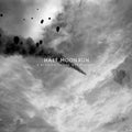 Half Moon Run: A Blemish In The Great Light ( Vinyl )