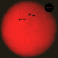 Survive: HD015 (Red Vinyl) ( Vinyl )