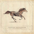 Turnpike Troubadours: A Long Way From Your Heart ( Vinyl )