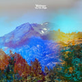 Vetiver: Up On High ( Vinyl )
