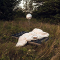 Hippo Campus: Warm Glow ( Vinyl )