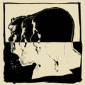 The Avett Brothers: Closer Than Together ( Vinyl )