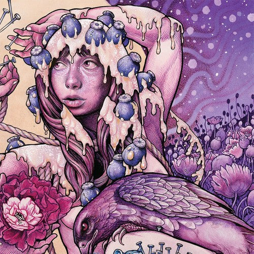 Baroness: Try To Disappear ( Vinyl )