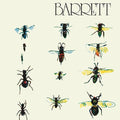 Syd Barrett: Barrett ( Vinyl )