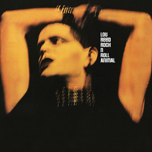 Lou Reed: Rock N Roll Animal ( Vinyl )