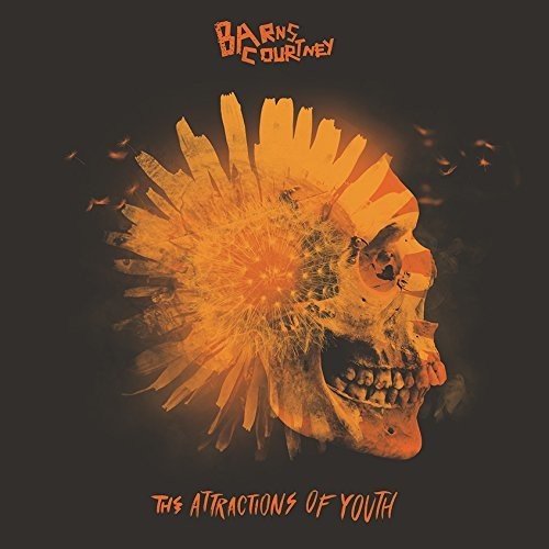 Barns Courtney: The Attractions Of Youth ( Vinyl )