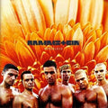 Rammstein: Herzeleid ( Vinyl )