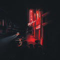 Andy Shauf: The Neon Skyline ( Vinyl )