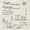 They Might Be Giants: I Like Fun ( Vinyl )