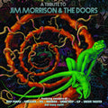 Various Artists: A Tribute To Jim Morrison & The Doors (Various Artists) ( Vinyl )