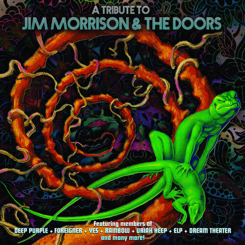 Various Artists: A Tribute To Jim Morrison & The Doors (Various Artists) ( Vinyl )