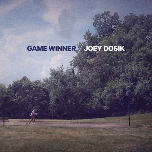 Joey Dosik: Game Winner ( Vinyl )