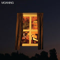 The Moaning: Moaning ( Vinyl )
