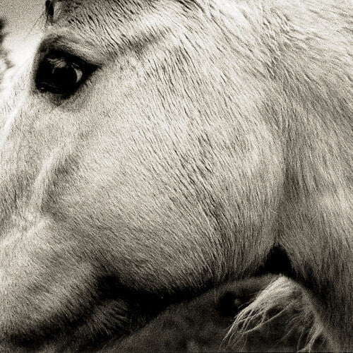 Bonny Light Horseman: Bonny Light Horseman ( Vinyl )