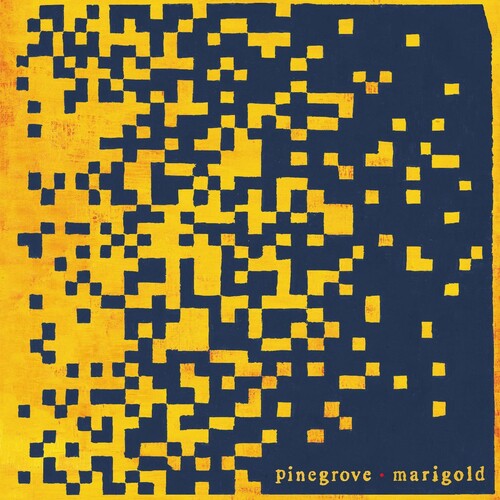 Pinegrove: Marigold ( Vinyl )