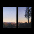 Bonny Doon: Longwave ( Vinyl )
