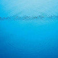 Caribou: Suddenly ( Vinyl )