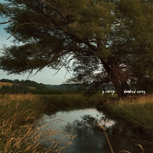 S Carey: Hundred Acres ( Vinyl )