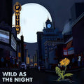 Fruition: Wild As The Night, Broken At The Break Of Day ( Vinyl )