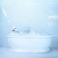 Frankie Cosmos: Vessel ( Vinyl )