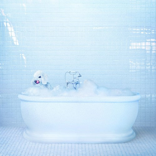 Frankie Cosmos: Vessel ( Vinyl )