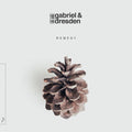 Gabriel & Dresden: Remedy ( Vinyl )