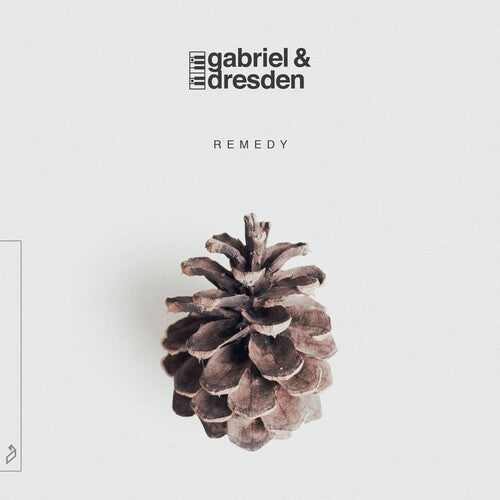Gabriel & Dresden: Remedy ( Vinyl )