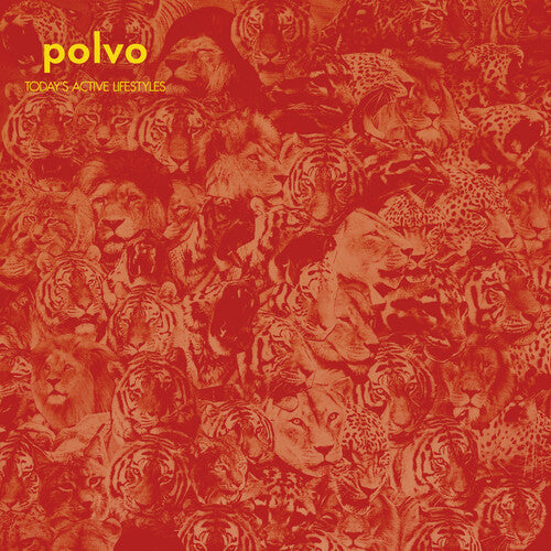 Polvo: Today's Active Lifestyles ( Vinyl )