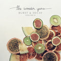 The Wonder Years: Burst & Decay (Volume Ii) ( Vinyl )