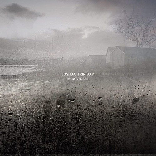 Joshua Trinidad: In November ( Vinyl )