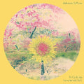 Alabaster Deplume: To Cy & Lee: Instrumentals 1 ( Vinyl )