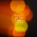 Ray LaMontagne: Part Of The Light ( Vinyl )