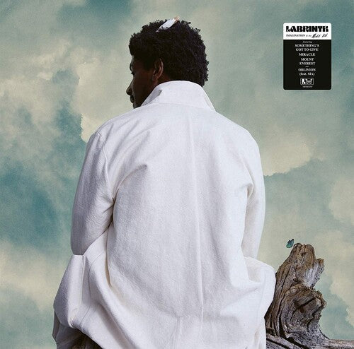 Labrinth: Imagination & The Misfit Kid ( Vinyl )