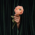 Marian Hill: Unusual ( Vinyl )