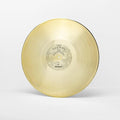 Joywave: Possession ( Vinyl )