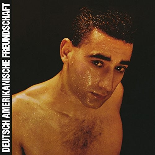 DAF: Alles Ist Gut ( Vinyl )