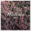 Wallows: Spring ( Vinyl )