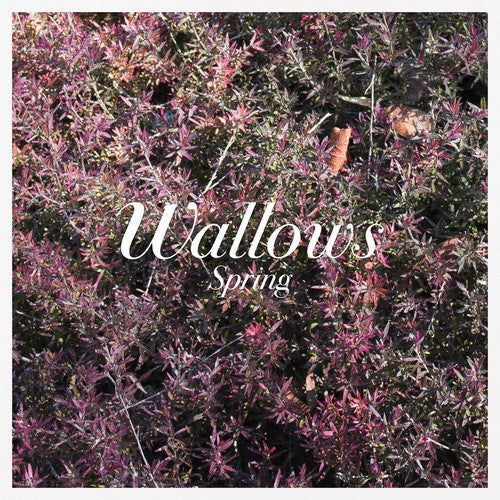Wallows: Spring ( Vinyl )