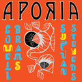 Sufjan Stevens: Aporia ( Vinyl )