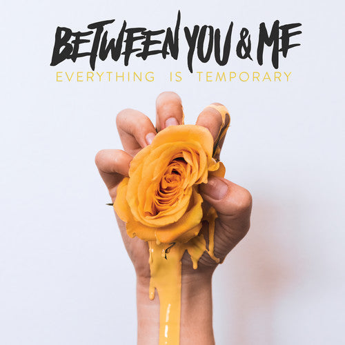 Between You & Me: Everything Is Temporary ( Vinyl )