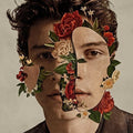 Shawn Mendes: Shawn Mendes ( Vinyl )