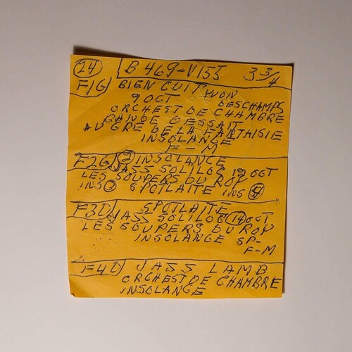 Mac DeMarco: Here Comes The Cowboy Demos ( Vinyl )