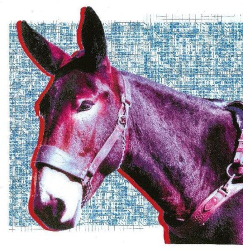 Protomartyr: Ultimate Success Today ( Vinyl )