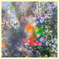 Four Tet: Sixteen Oceans ( Vinyl )