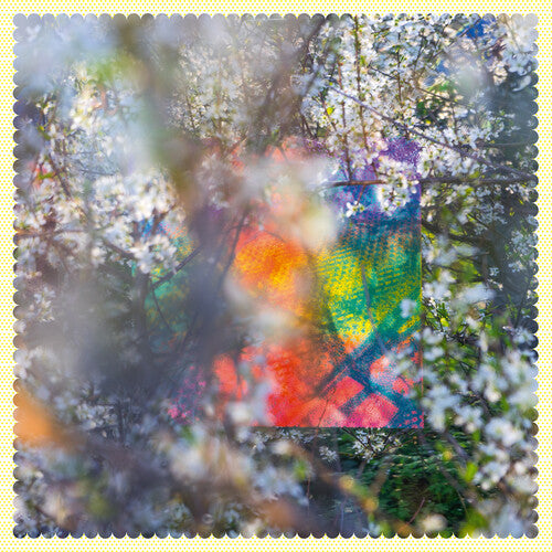 Four Tet: Sixteen Oceans ( Vinyl )